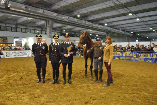 Grande successo per i cavalli maremmani dei carabinieri