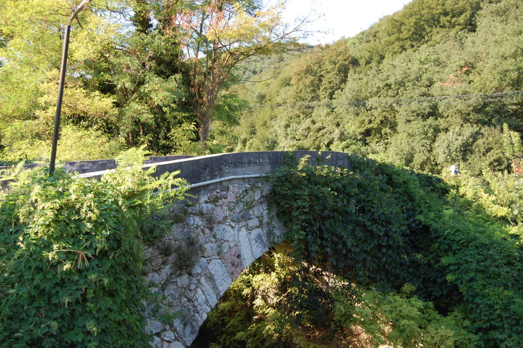 Tra storia e natura: passeggiata con i Ruini