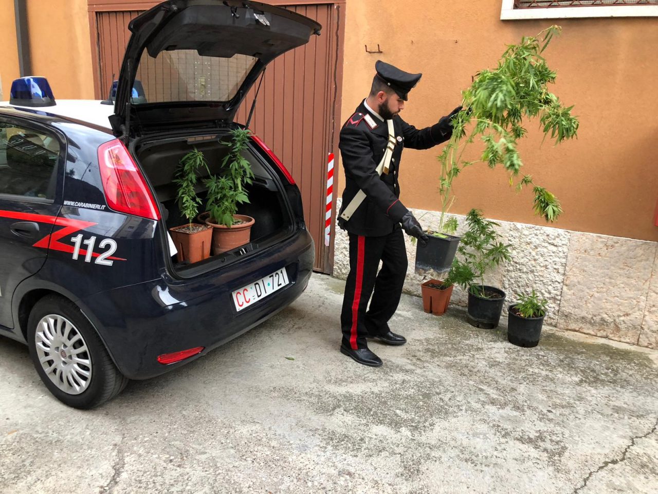 Cuoca coltiva marjuana nel veronese