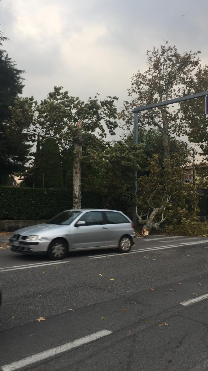 Vento forte: i primi danni del cambio climatico. Dopo lunghe giornate di sole, oggi il cielo si è annuvolato e il vento forte si è alzato anche a Verona. 