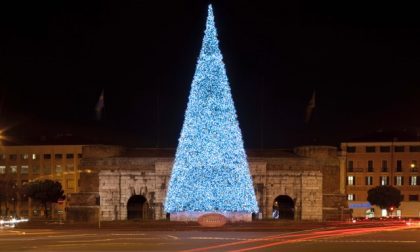 A Natale Verona si accende: ritorna il grande albero Bauli