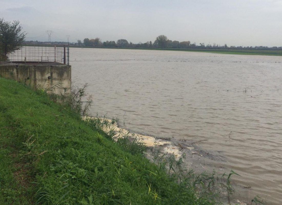 Ronco all’Adige: crolla un argine per colpa delle nutrie