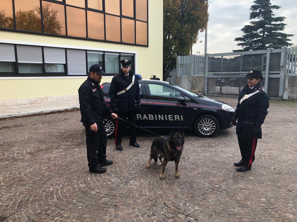 Cinofili a scuola: recuperati marjuana ed hashish