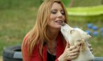 Michela Vittoria Brambilla diserta il Parlamento, ma presenta leggi sui… cani