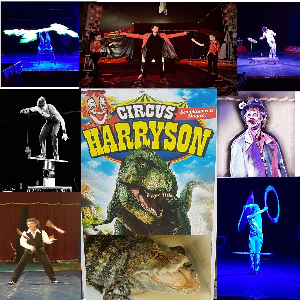 Il Circo Harryson fa tappa a San Bonifacio