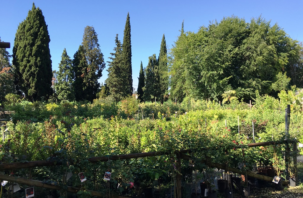 “Innamorati dell’ambiente”, il convegno a Soave