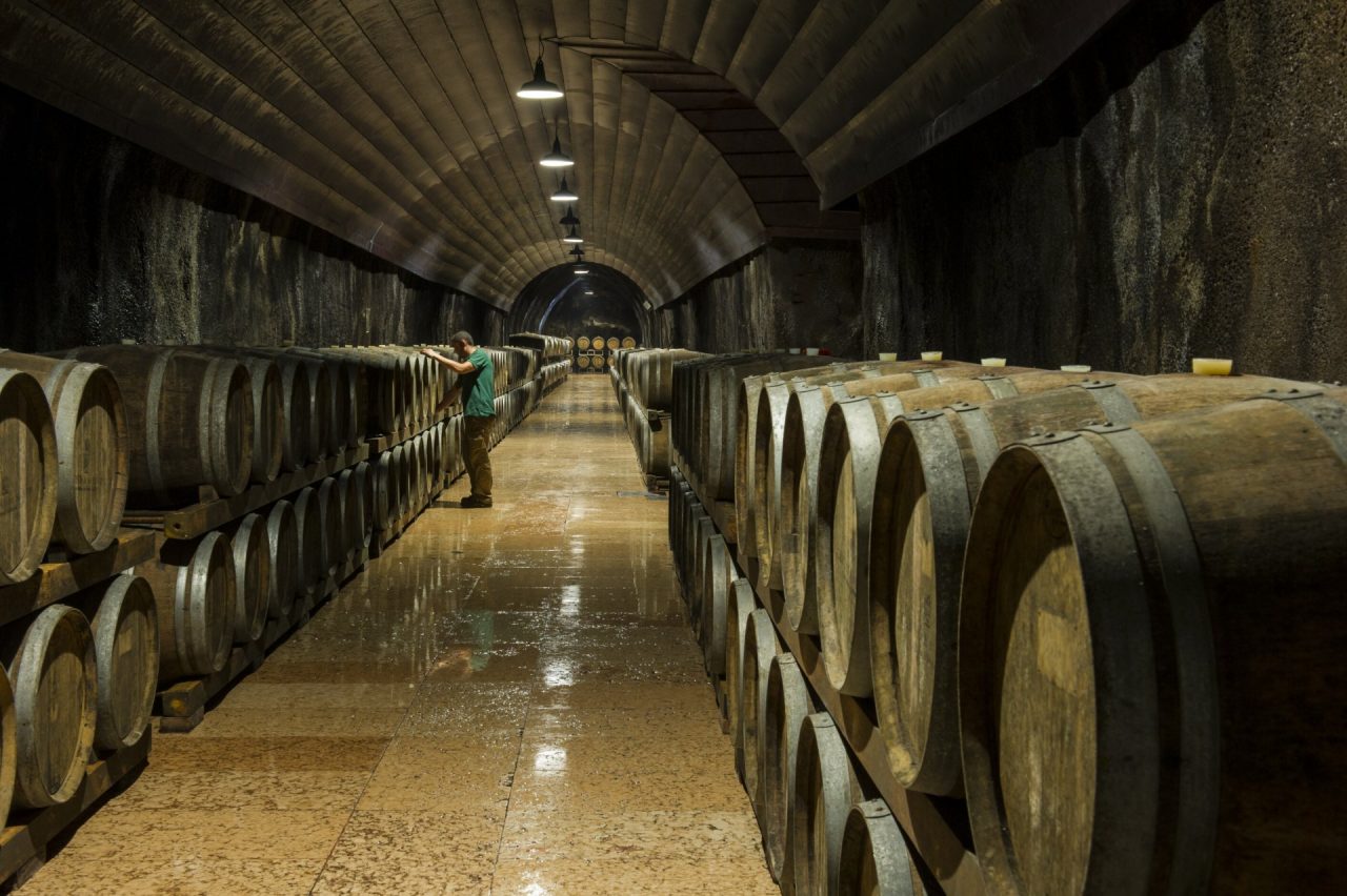 Cantina di Soave: 70 milioni di euro distribuiti ai soci