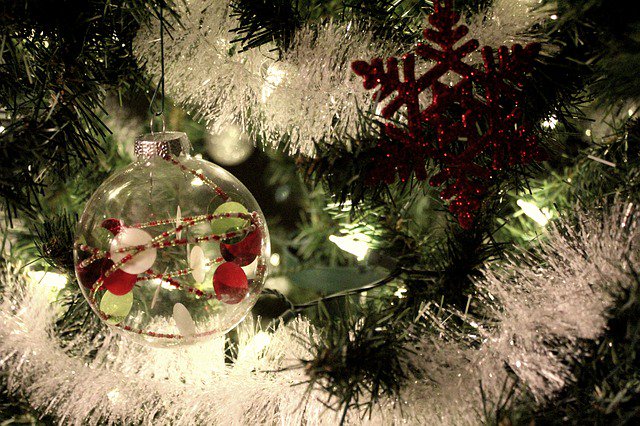 Colognola ai Colli, acceso l’albero di Natale della casa di riposo VIDEO