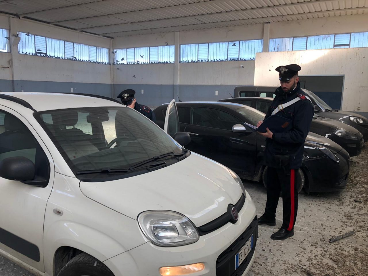 Zimella, scoperto capannone con auto rubate
