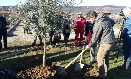 Negli orti per anziani di San Felice Extra, 6 nuovi alberi