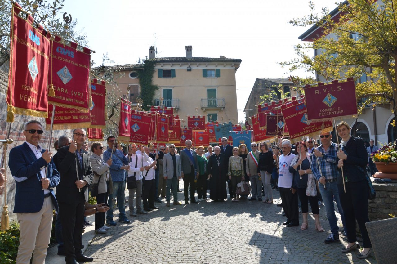 Avis Verona: “Crescono le donazioni di sangue, ma mancano i giovani”