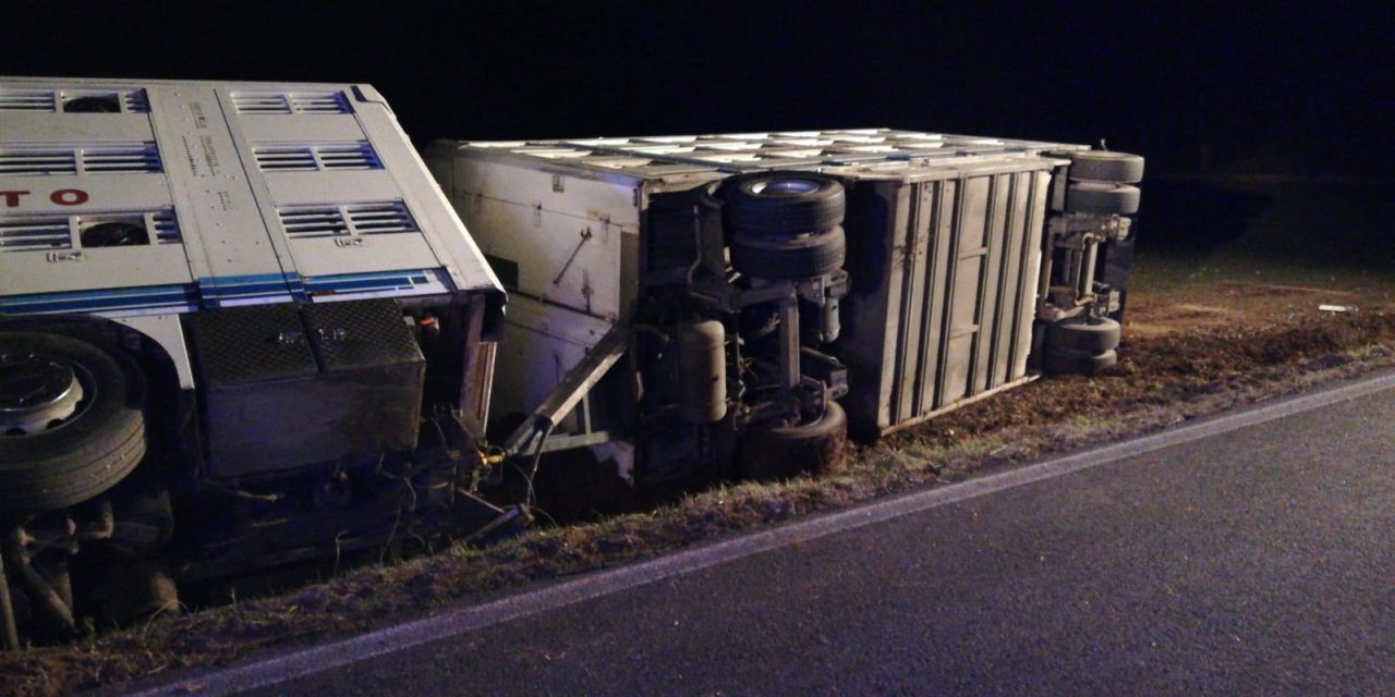 Camion ribaltato fuori strada a Zimella