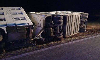 Camion ribaltato fuori strada a Zimella