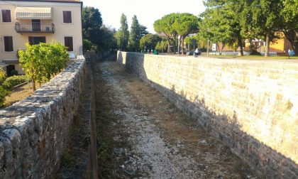 Ultimati gli interventi di pulizia del torrente Squaranto a Verona