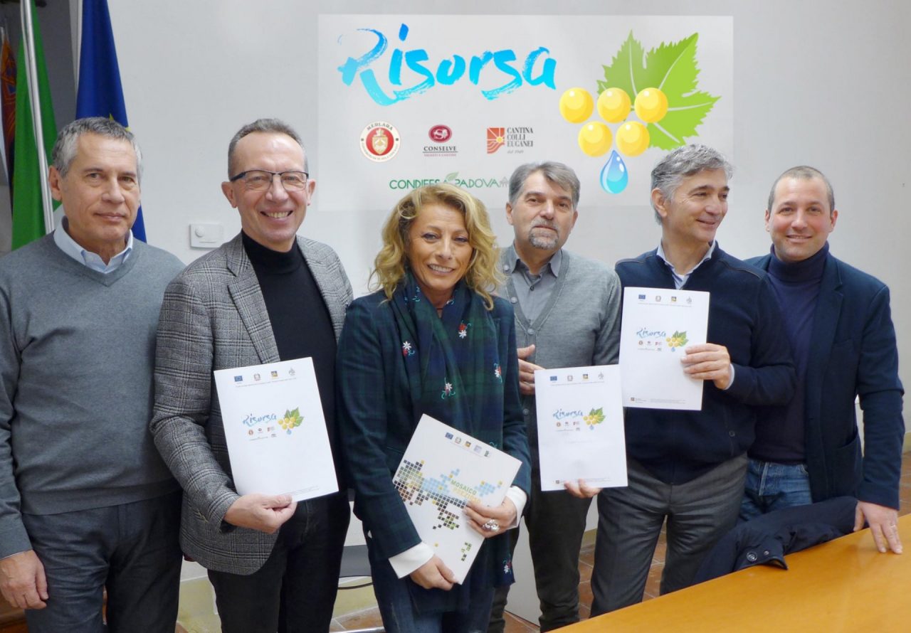 A Merlara il progetto Risorsa punta alla salvaguardia dei vigneti