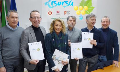 A Merlara il progetto Risorsa punta alla salvaguardia dei vigneti