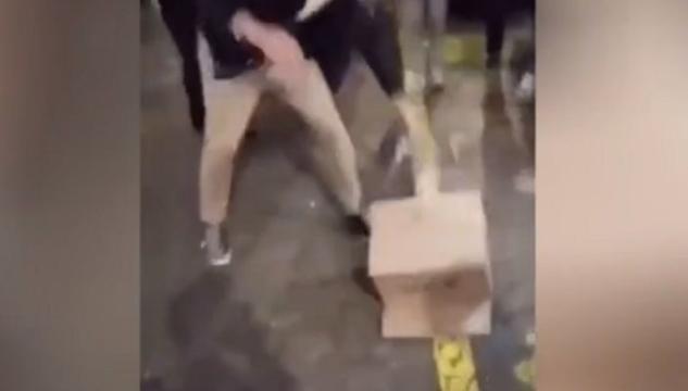 Bulli prendono a calci una gallina, l’ira di Zaia: “Vergognatevi” VIDEO