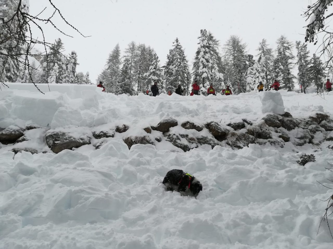Travolti da una valanga a Cortina, salvati entrambi