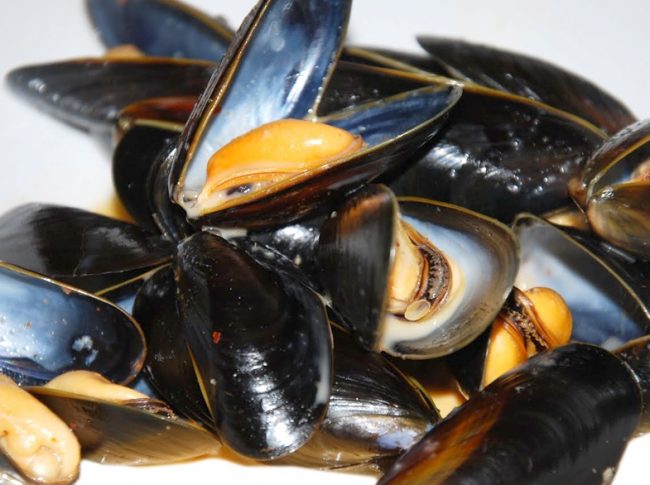 Cozze spagnole contaminate da salmonella: allarme in Italia