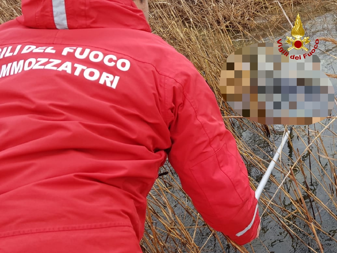 Ritrovato il corpo senza vita dell'uomo scomparso ieri da Bardolino