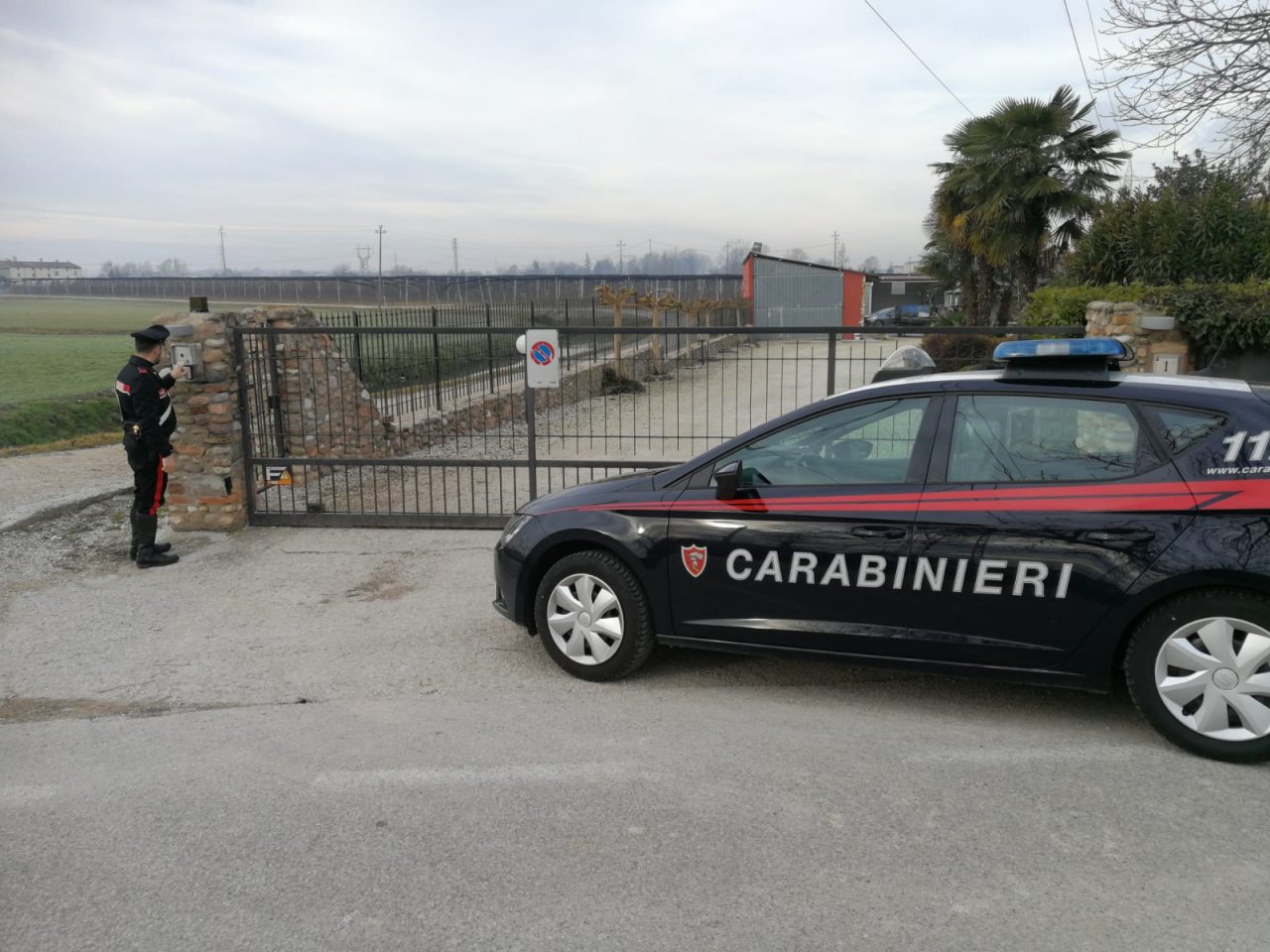 “Pesca” storioni da un allevamento, beccato mentre è ancora in acqua