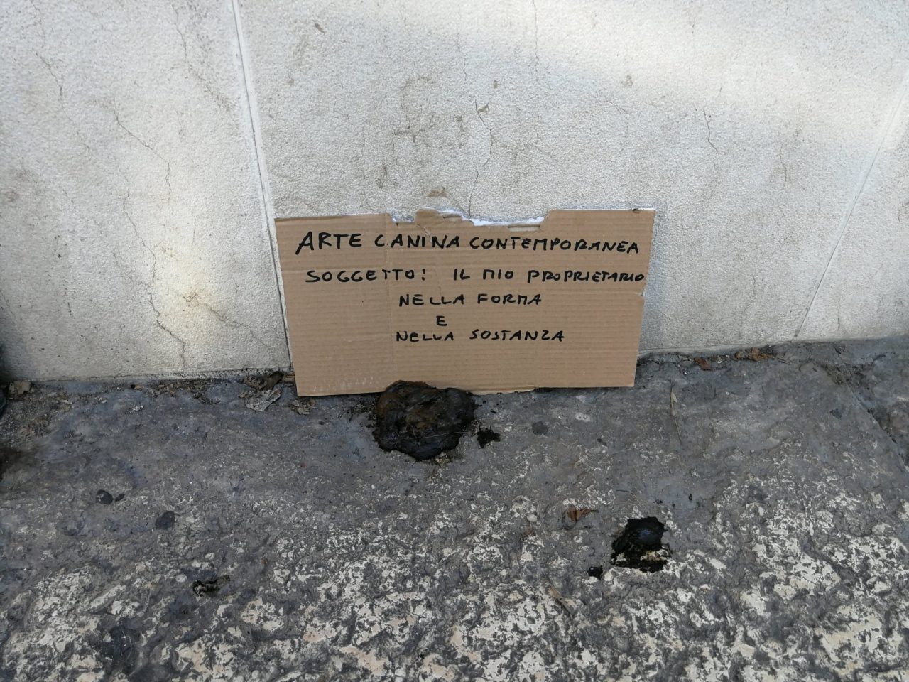 Escrementi sui marciapiedi a Verona, c’è chi la prende con ironia