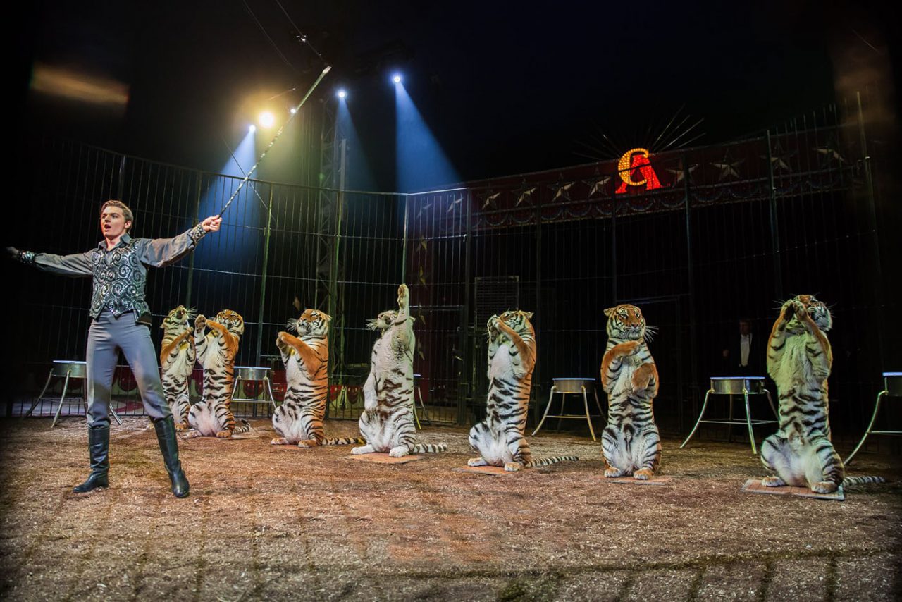 American Circus a Verona, un nuovo show per il più grande circo del mondo