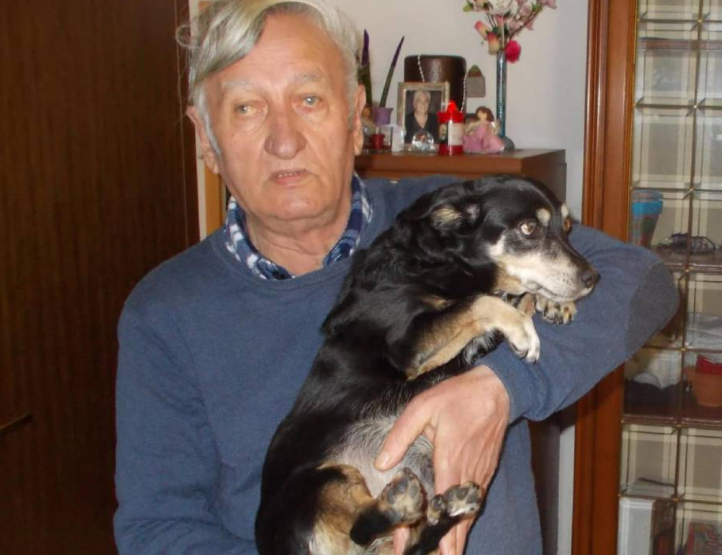 Lieto fine per la cagnolina investita
