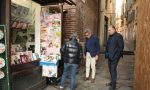 Topi in centro a Verona parte la derattizzazione