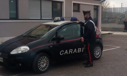 Ubriaco distrugge il bar a Legnago e resiste all'arresto: è già libero