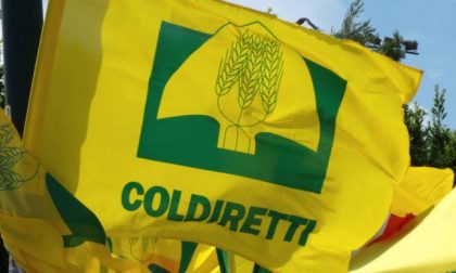 Coldiretti: "Piano Marshall per l'agricoltura italiana"