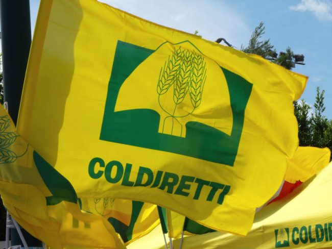 Coldiretti sabato 31 ottobre celebra la 70esima Giornata Provinciale del Ringraziamento