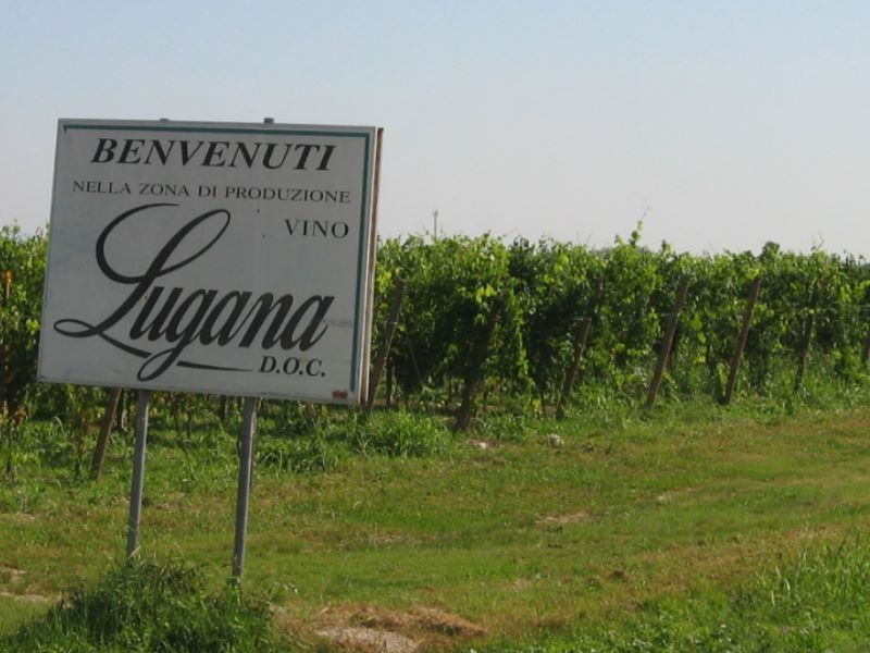 Il Lugana doc vola in Francia per la prima edizione di Wine Paris