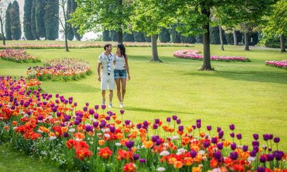 Tulipanomania 2019 al Parco Giardino Sigurtà premiati i tre scatti più belli