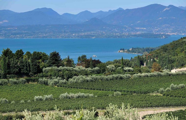 Vigneti del Bardolino classificati come destinazione vinicola dell’anno da Yahoo!