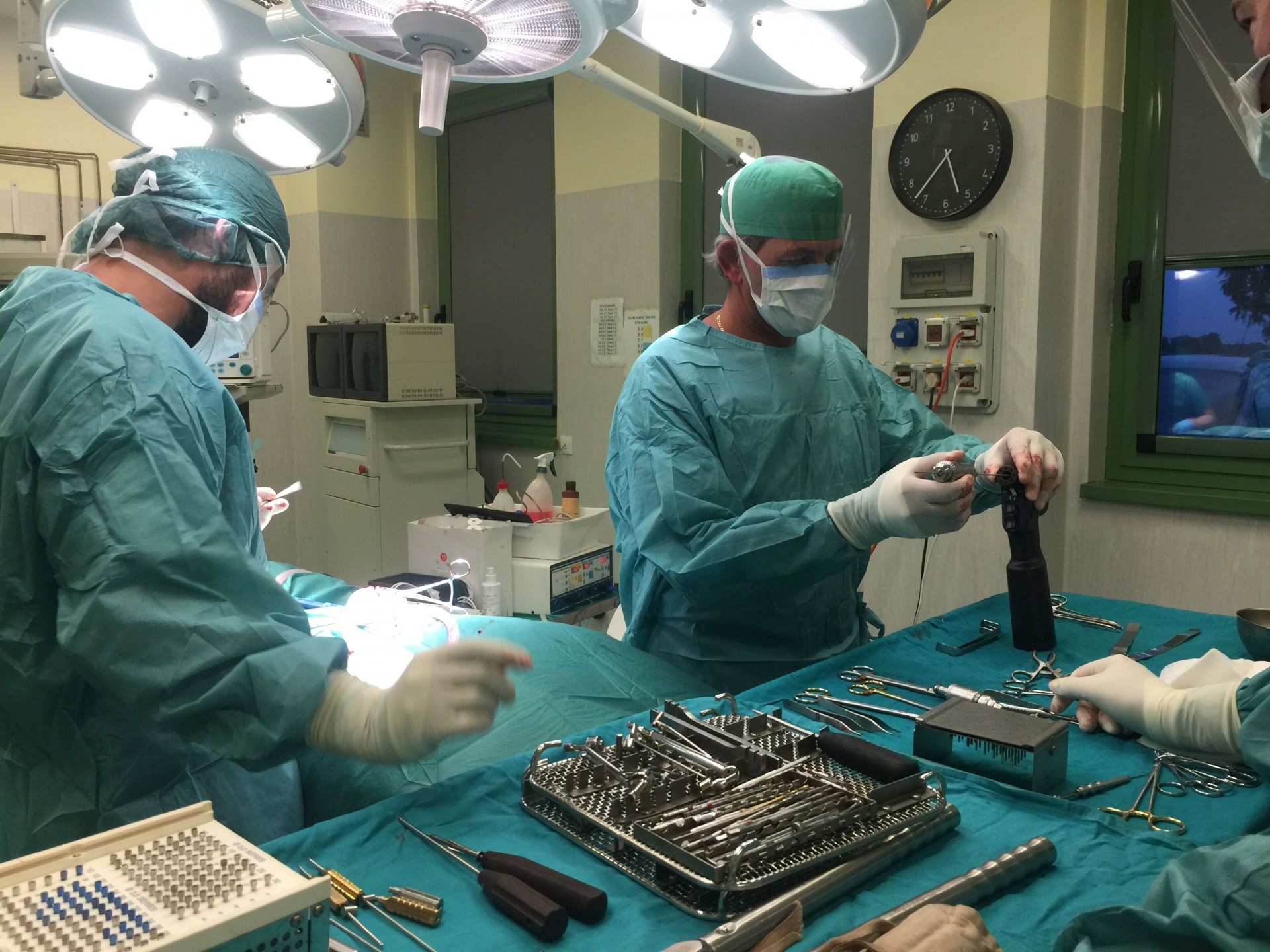 Eseguito un intervento veterinario unico in Italia