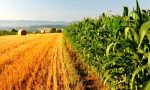 Agricoltura: mezza provincia è in affitto