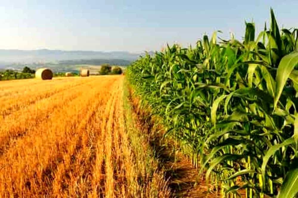Collegio Periti Agrari e PP.AA.LL. della Provincia di Verona: rinnovati gli organi statutari