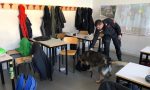 Droga vicino alla scuola, intervento dei carabinieri a Colognola ai Colli