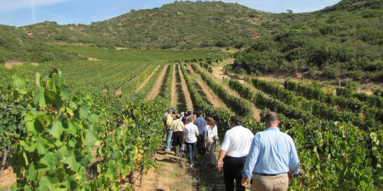 Enoturismo, Verona unica città italiana tra le grandi capitali del vino