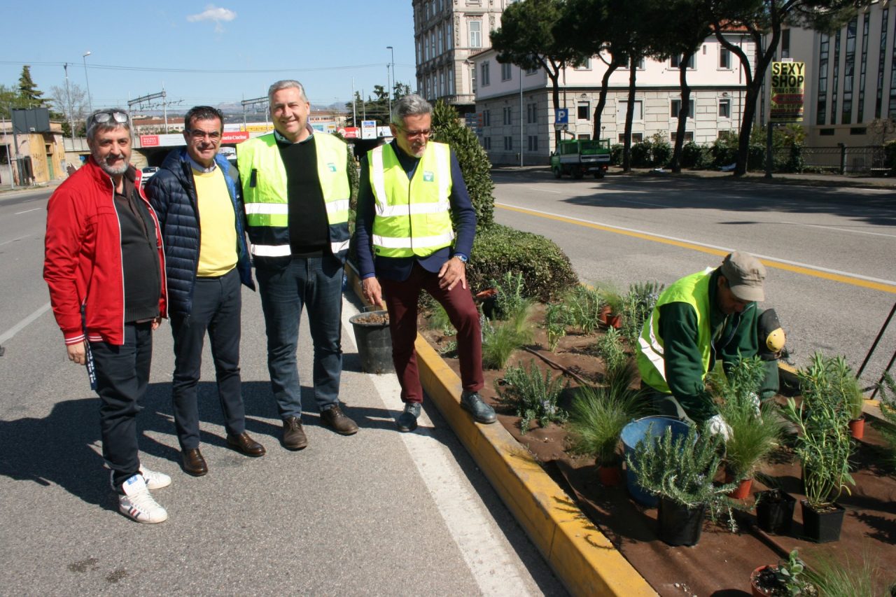 Viale Piave cambia look in vista del Vinitaly