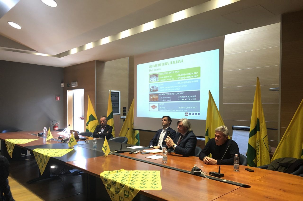 Allevatori preoccupati: troppo basso prezzo della carne di maiale