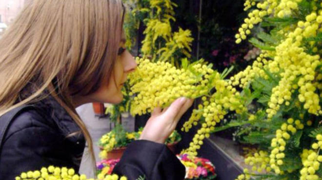 Festa delle donne, il mercato a km 0 di Avesa si tinge di rosa