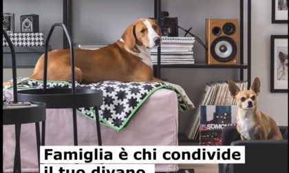 IKEA lo spot contro il Congresso delle Famiglie - VIDEO