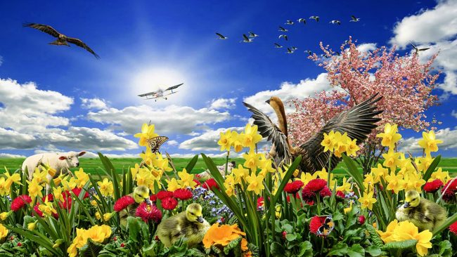 Equinozio di primavera 2019: la primavera è già arrivata oggi