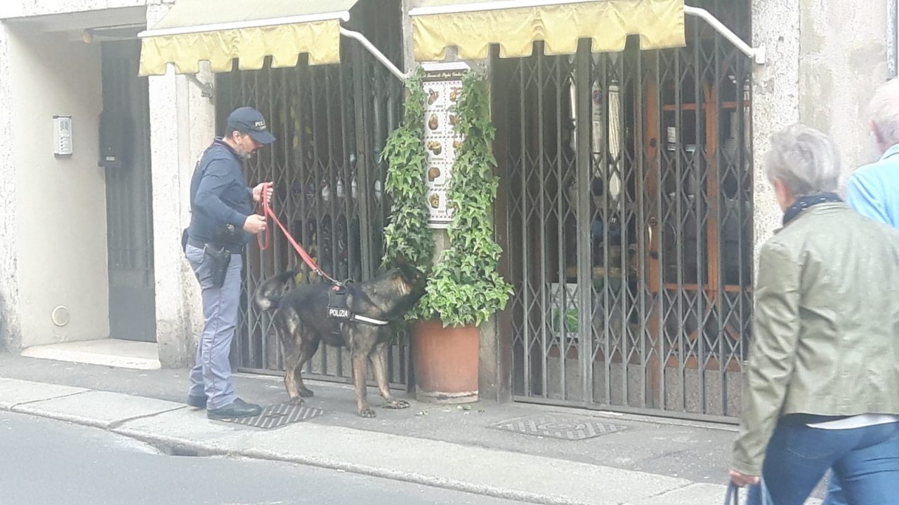 Droga in una fioriera, decisivo ancora il supporto dei cani poliziotto