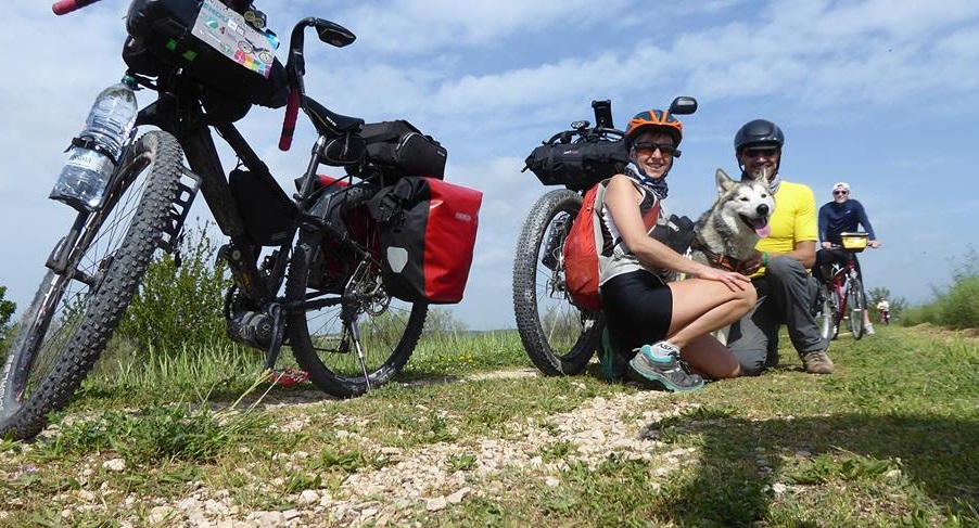 In viaggio con il proprio cane esperienza unica e indimenticabile