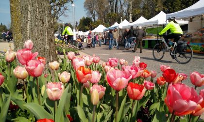 Pasqua a Bardolino tre giorni di eventi, degustazioni e shopping