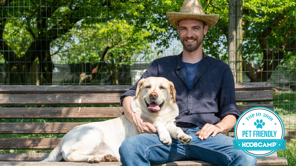 I 10 migliori campeggi e villaggi pet friendly in Italia c’è anche Peschiera del Garda