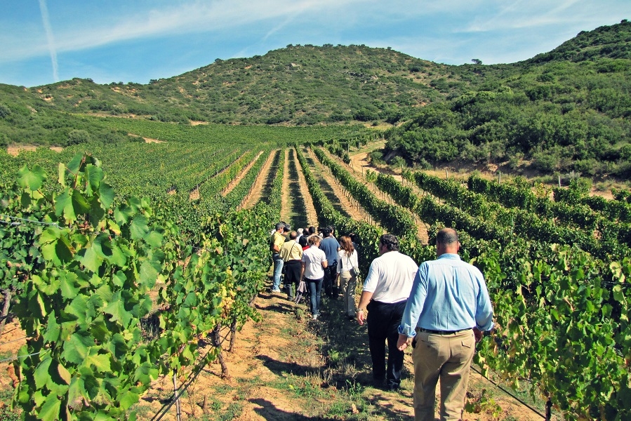 Enoturismo opportunità per la crescita della Valpolicella